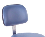 Back Rest Image